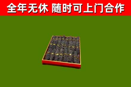 阿克苏回收海参